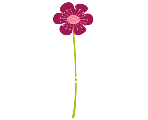 Jardin Pfister